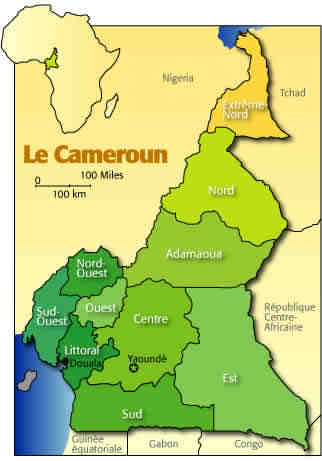 La 3e voie - réseau  Cameroun